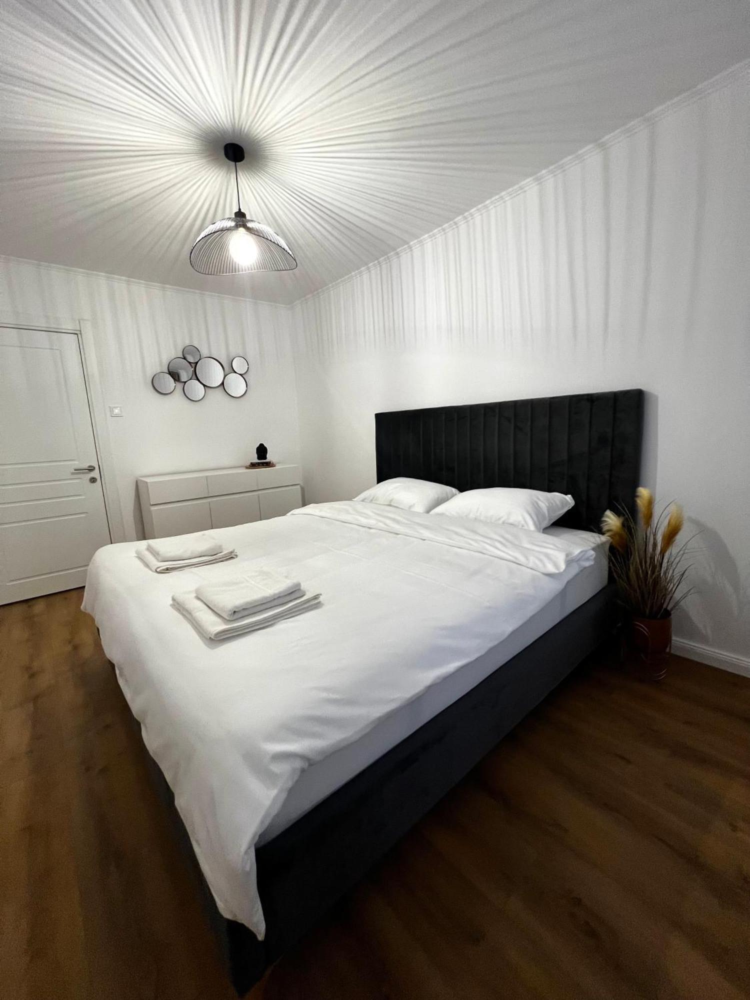Transylvania Central Apartment クルージュ＝ナポカ エクステリア 写真