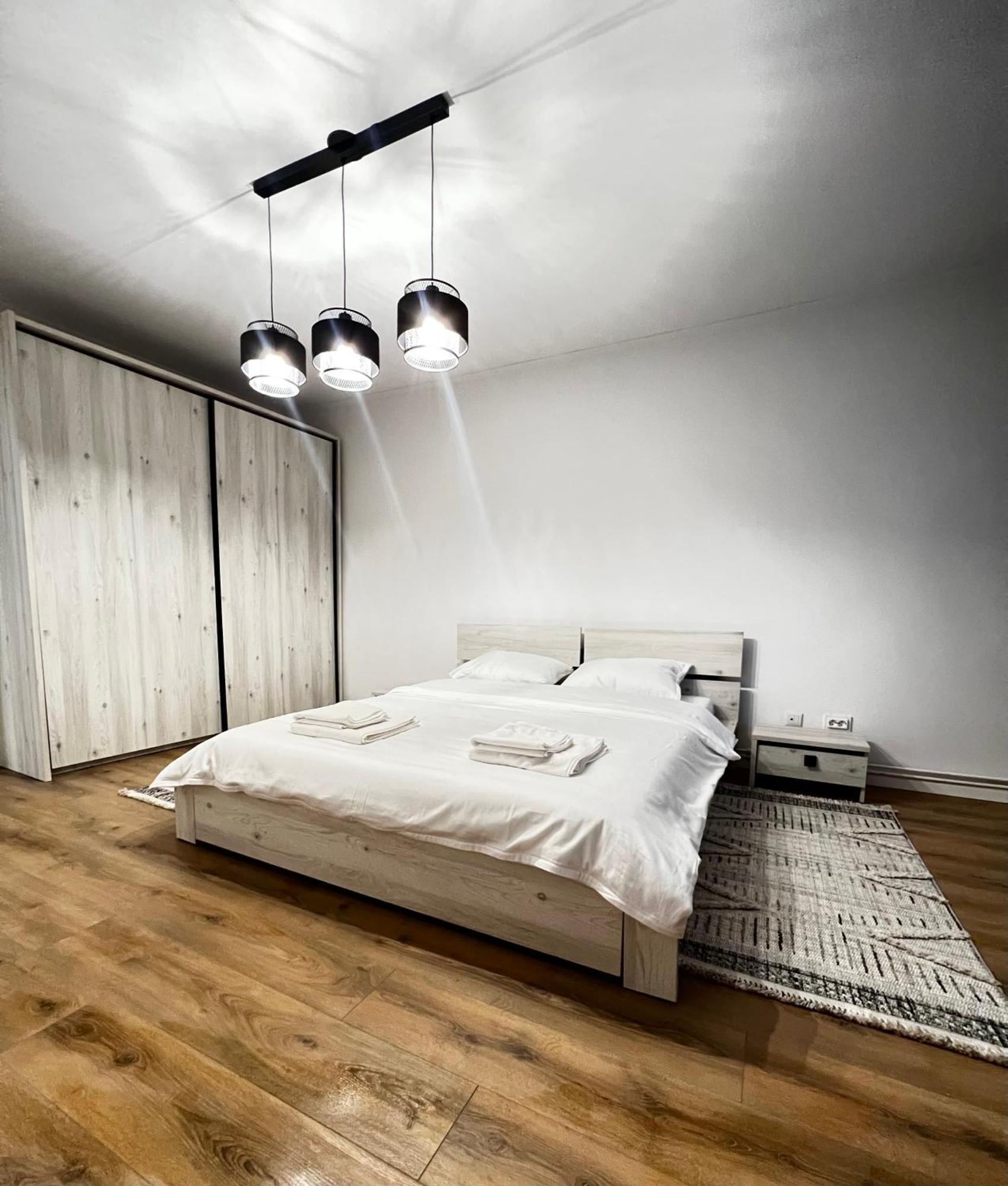 Transylvania Central Apartment クルージュ＝ナポカ エクステリア 写真