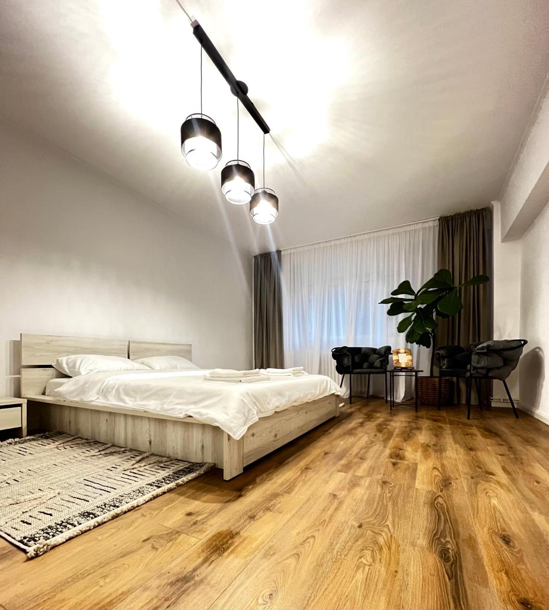 Transylvania Central Apartment クルージュ＝ナポカ エクステリア 写真